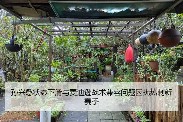 孙兴慜状态下滑与麦迪逊战术兼容问题困扰热刺新赛季