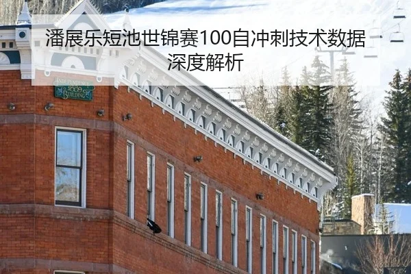 潘展乐短池世锦赛100自冲刺技术数据深度解析