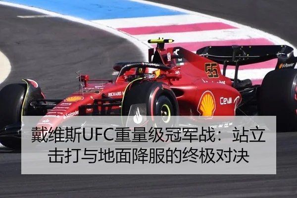 戴维斯UFC重量级冠军战：站立击打与地面降服的终极对决