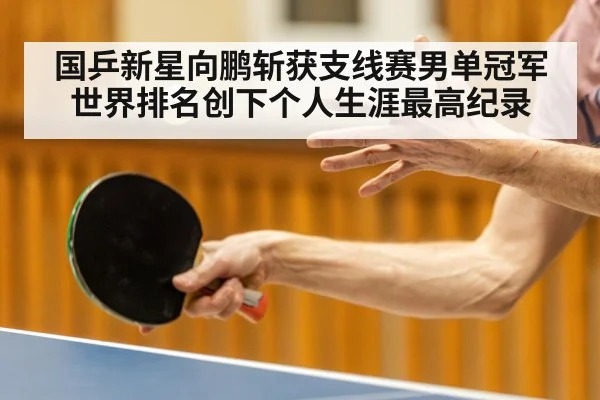 国乒新星向鹏斩获支线赛男单冠军世界排名创下个人生涯最高纪录