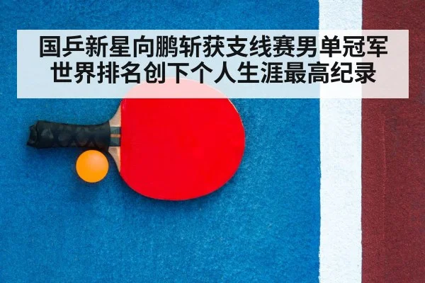 table tennis racket close up
